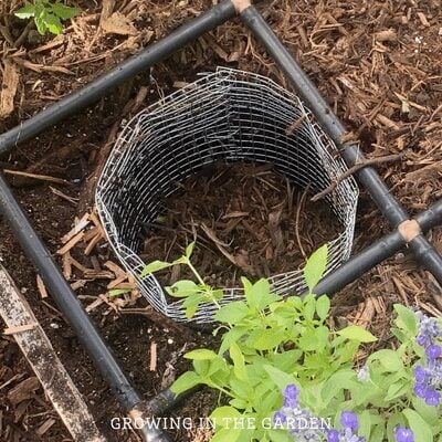 Cover the food scraps with a layer of "brown" materials. Examples: wood chips, dried leaves, soil, shredded cardboard