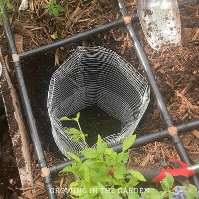 Vermicomposting Made Easy: In-Bed Worm Composting
