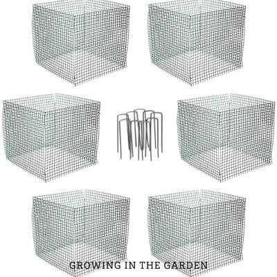 Vermicomposting Made Easy: In-Bed Worm Composting