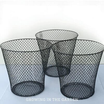 Vermicomposting Made Easy: In-Bed Worm Composting