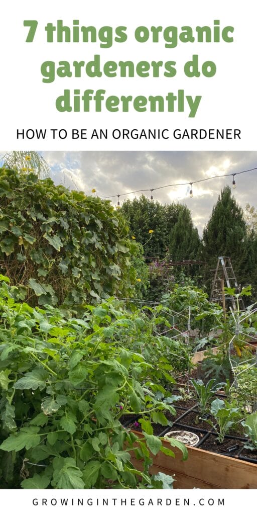 how to be an organic gardener