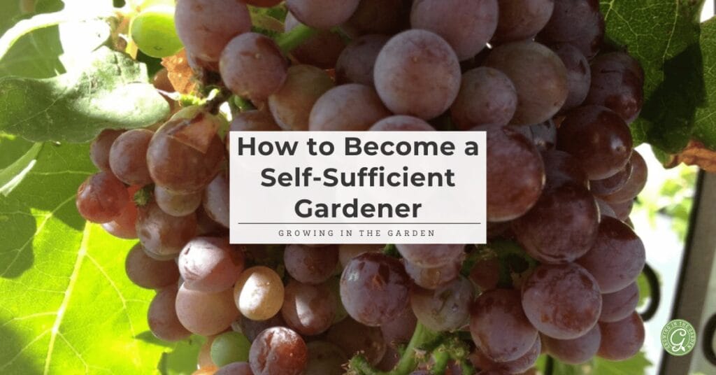 How to Become a
Self-Sufficient Gardener