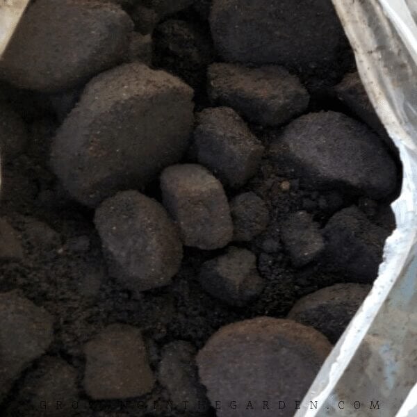 How to Compost: 10 Simple Steps for Composting Success