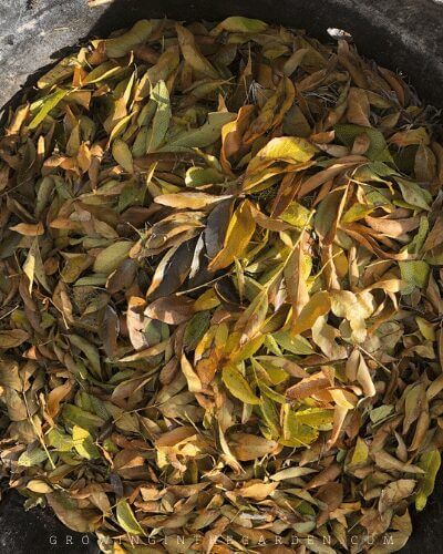 How to Compost: 10 Simple Steps for Composting Success