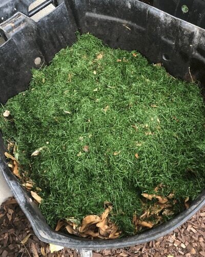 How to Compost: 10 Simple Steps for Composting Success