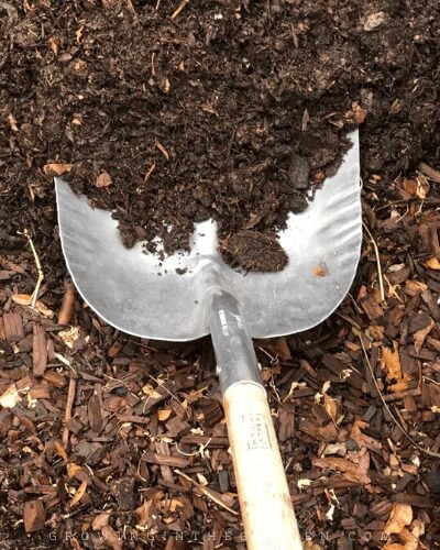 How to Compost: 10 Simple Steps for Composting Success