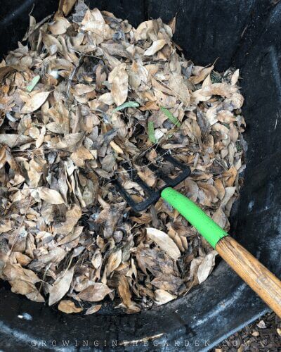 How to Compost: 10 Simple Steps for Composting Success
