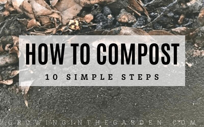How to Compost: 10 Simple Steps for Composting Success