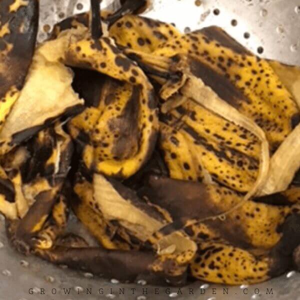 How to Compost: 10 Simple Steps for Composting Success