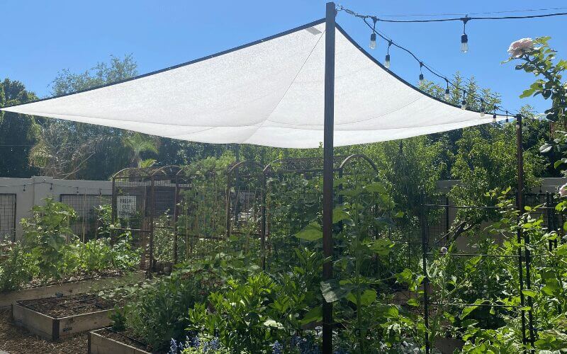 Shade cloth percentages indicate how much light is blocked, typically ranging from 30-50%. Here's a guideline for choosing the right percentage: