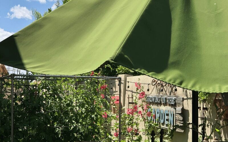 Outdoor umbrellas offer good temporary shade. They can be moved and angled to provide afternoon shade where it is needed most. However, umbrellas often block 100% of sunlight; be sure to tilt it so plants receive some morning sun. As with any shade structure, be aware of strong winds and take down the umbrella before it tips and damages surrounding plants. 