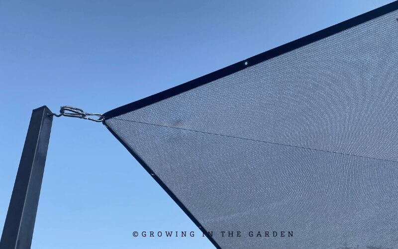 If your garden area is in full sun, consider adding shade cloth. Don’t think of completely encasing the garden, but providing some relief when the sun is at its highest. The area should receive some sun during the day. The variety of colors and percentages available in shade cloth allow you to customize the amount of light that reaches your garden.