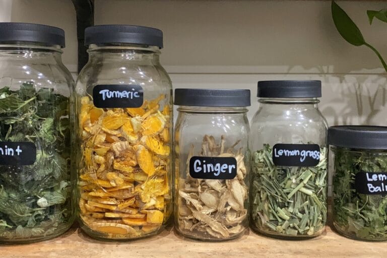 How to Freeze-Dry Herbs: A Step-by-Step Guide featured image