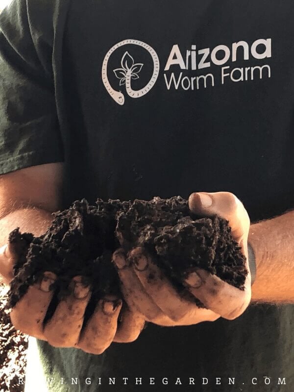 Compost from Arizona Worm Farm