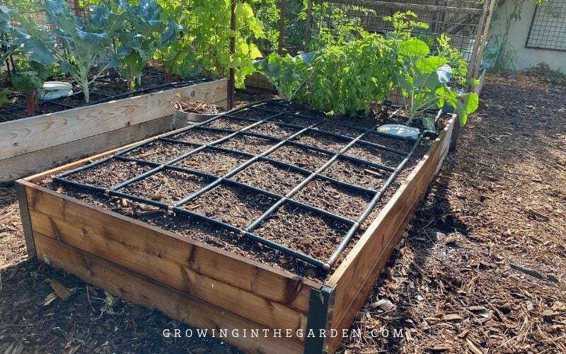 Inspect watering and irrigation system