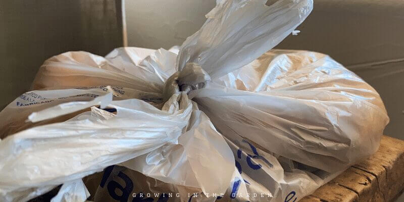 To cure sweet potatoes, set potatoes in a single layer (not touching) in a warm (about 80℉) humid area for 10-14 days. Curing allows cuts and bruises to heal and helps the starches inside the sweet potatoes convert to sugars.