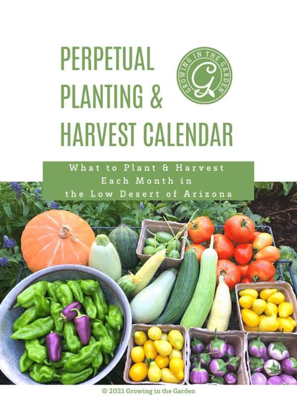 Gardener's Gift Guide: Garden Favorites​