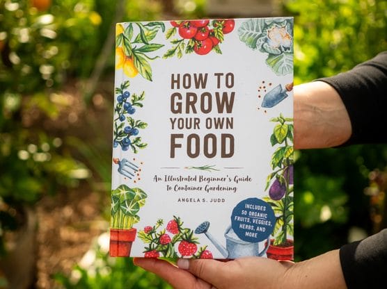How to Grow Your Own Food featured image
