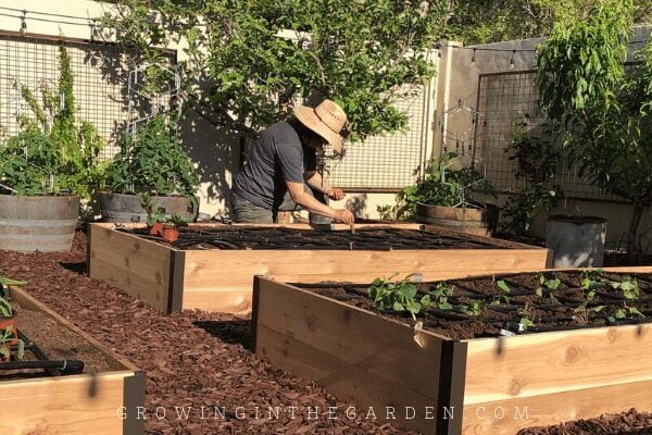 How to Kill Bermuda Grass Without Chemicals Before Planting a Garden