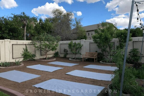 How to Kill Bermuda Grass Without Chemicals Before Planting a Garden