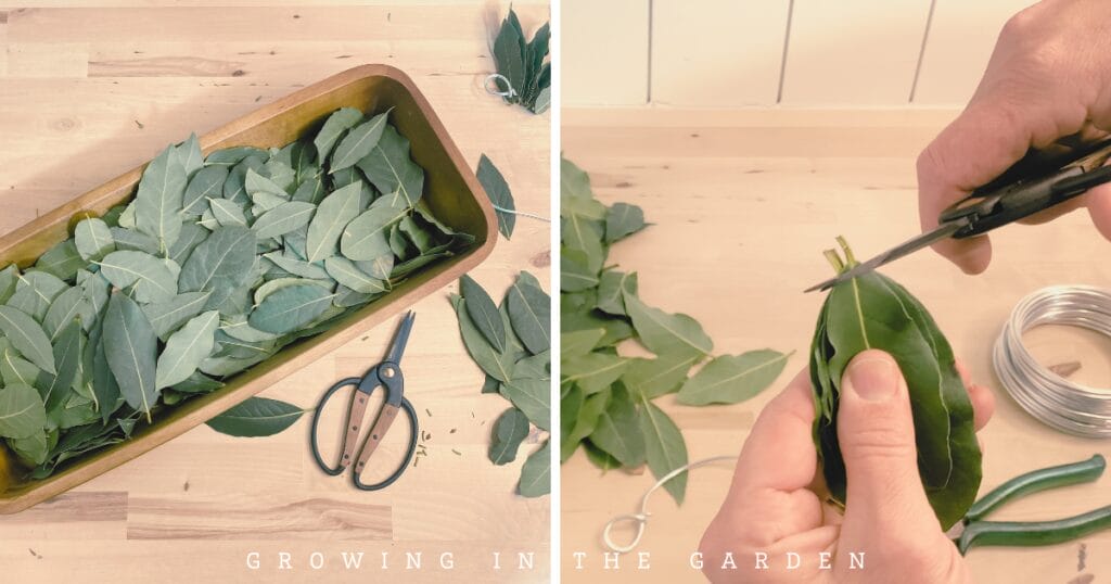 How to Make a Beautiful and Fragrant Bay Leaf Wreath