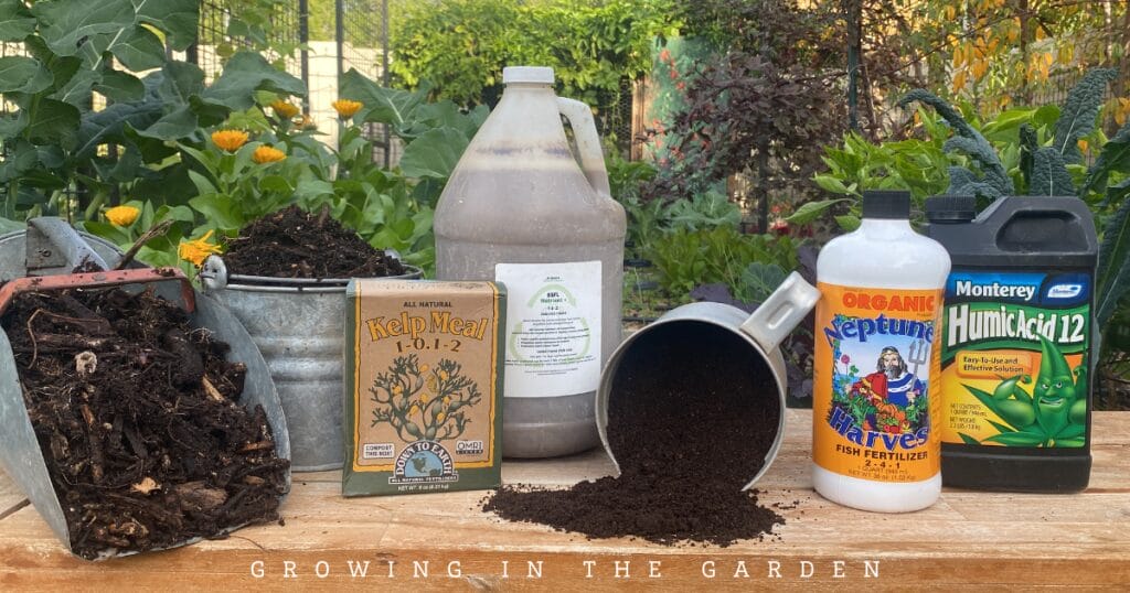 How to Make Worm Castings Tea: Zach's Recipe for a Pest-Free Garden