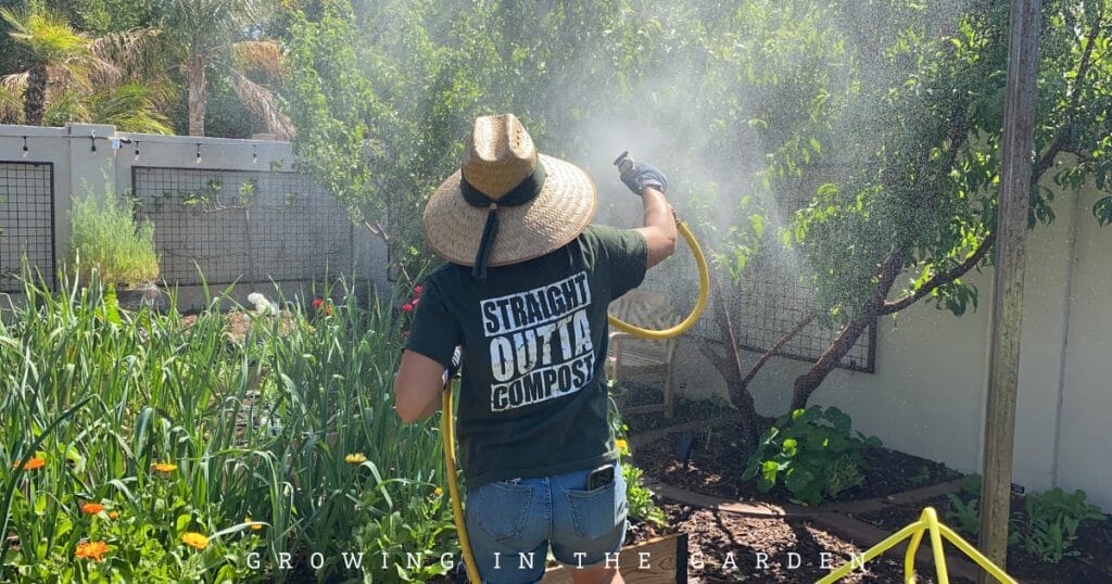 How to Make Worm Castings Tea: Zach's Recipe for a Pest-Free Garden