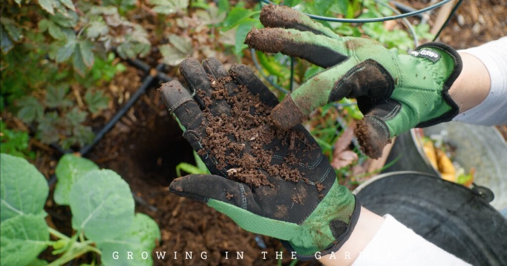 10 Essential Daily Garden Tasks - Harvest Worm Castings