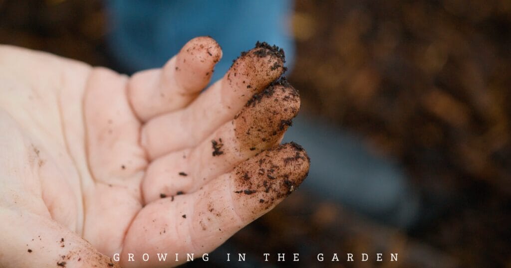 Check your soil before watering. If soil sticks to your fingers, you don't need to water. 