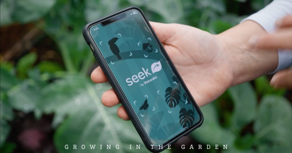 10 Essential Daily Garden Tasks