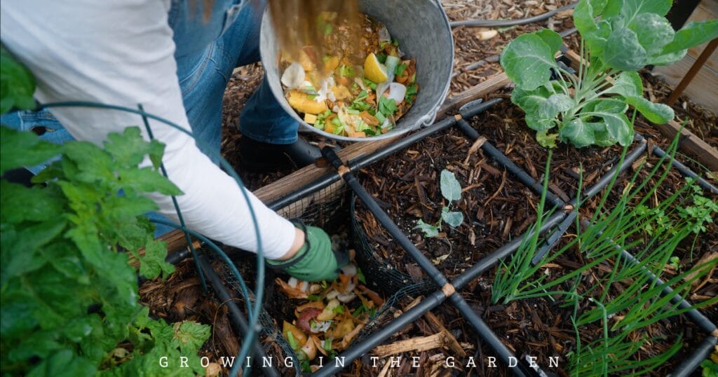10 Essential Daily Garden Tasks