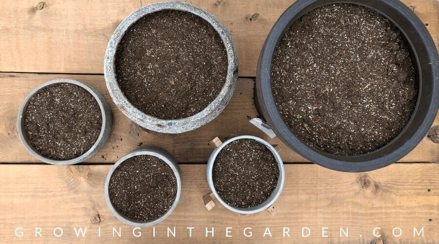 How to Plant Pots - Tips for Container Gardening