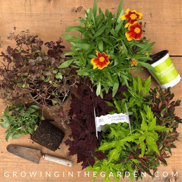 How to Plant Pots - Tips for Container Gardening