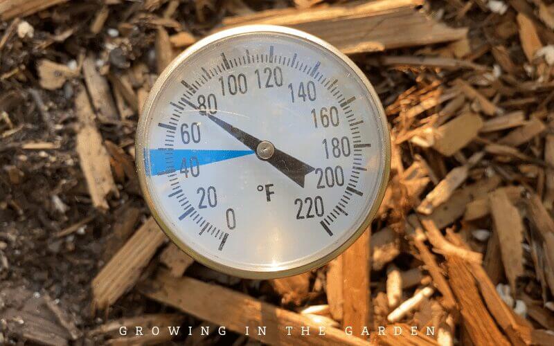 How to Plant Seeds Outside use a soil thermometer
