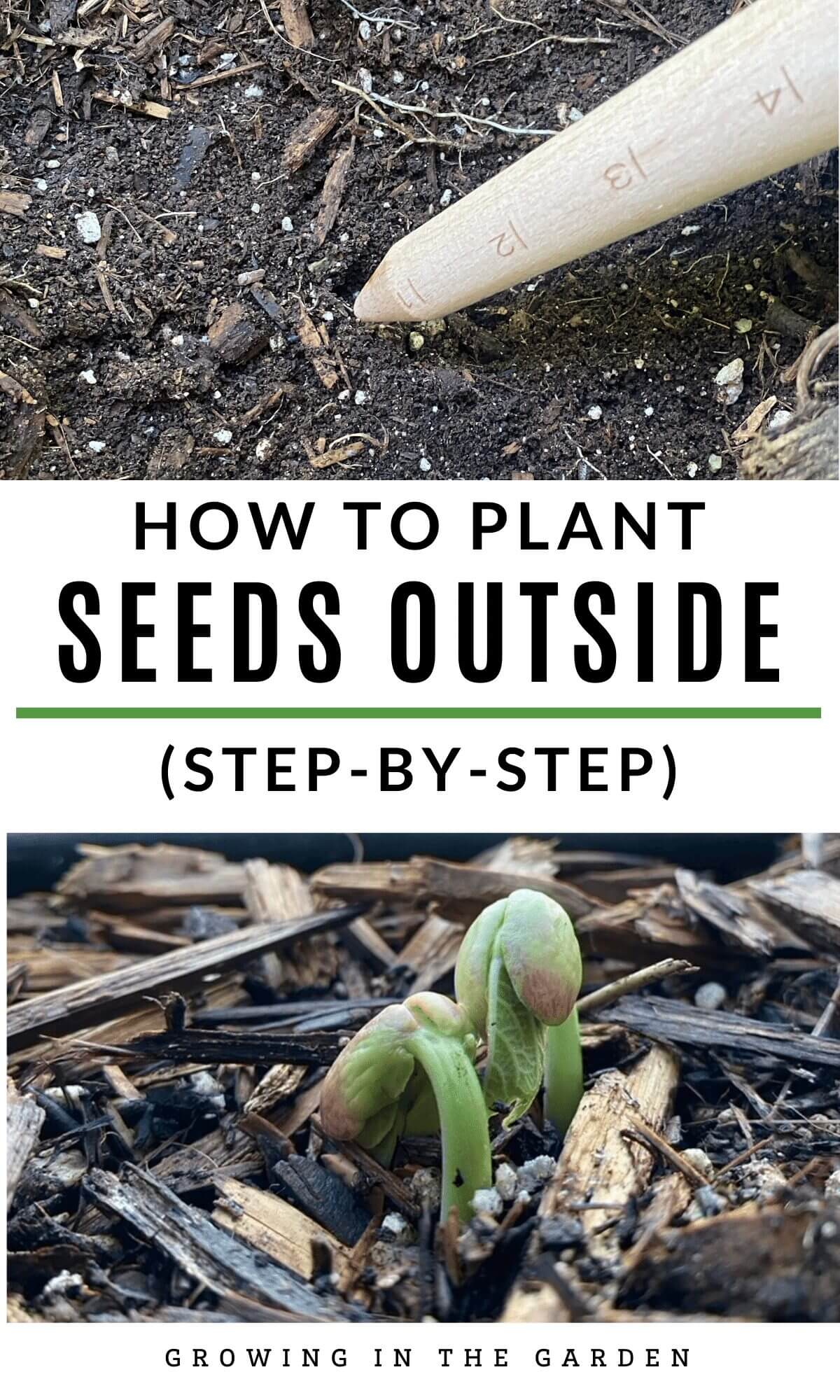 HOW TO PLANT SEEDS OUTSIDE