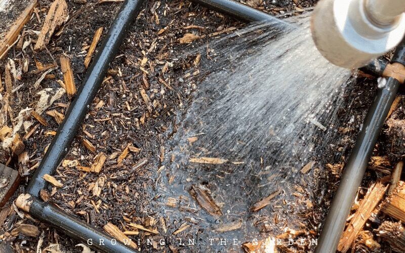 How to Plant Seeds Outside