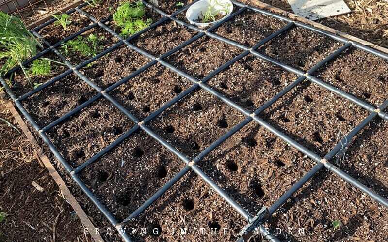 How to Plant Seeds Outside