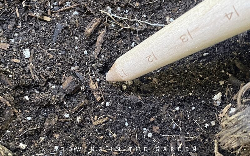 As a general rule, plant seeds two times as deep as they are wide (not tall). Seeds may require light to germinate and should not be planted deeply but only lightly covered with soil. Follow seed packet directions for exact depth requirements. 