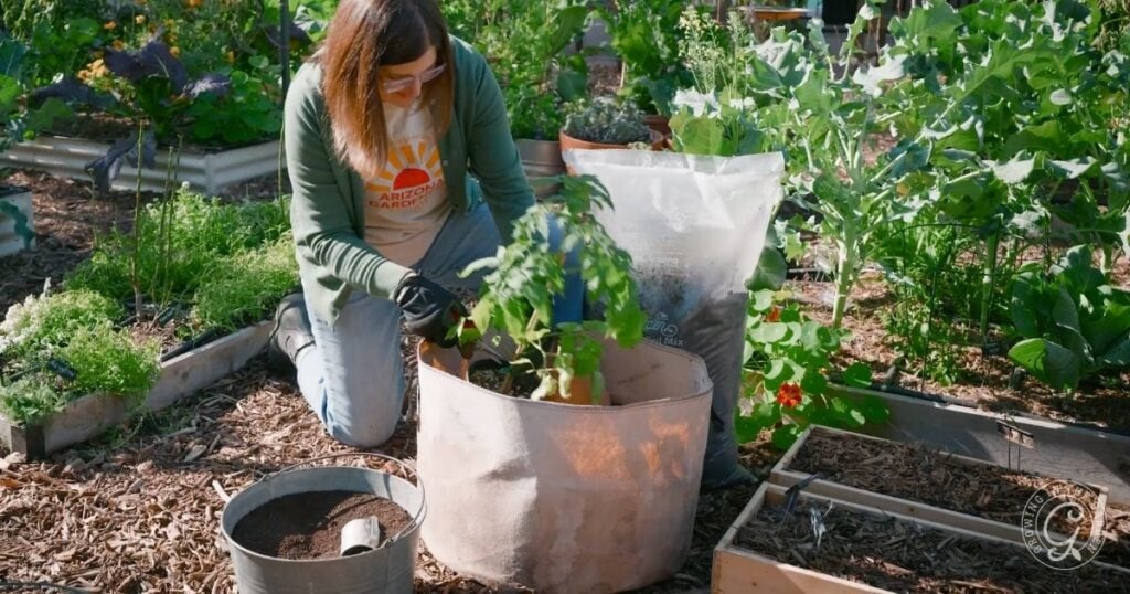 Woman gardening, kneeling beside a fabric pot and surrounded by green plants and gardening tools, demonstrates how to plant tomatoes with care and expertise.