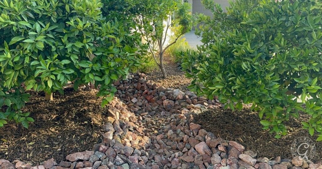A dry creek bed made of reddish rocks runs between green shrubs and mulch in a landscaped garden.