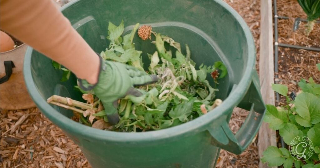Put diseased plants in the trash, not the compost pile