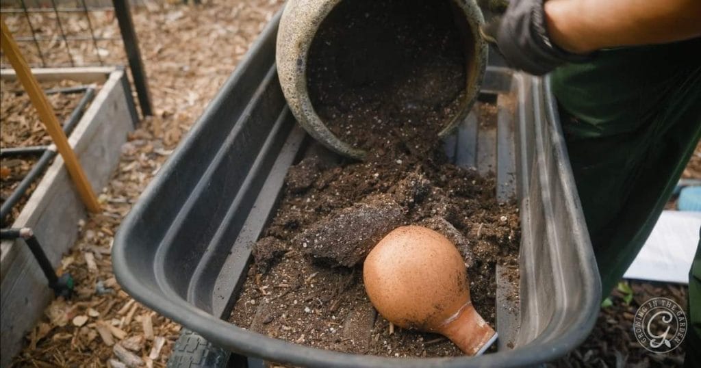 How to Refresh Old Potting Soil