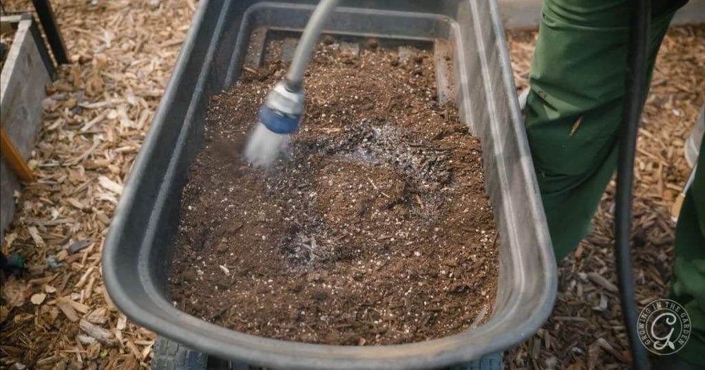 How to Refresh Old Potting Soil