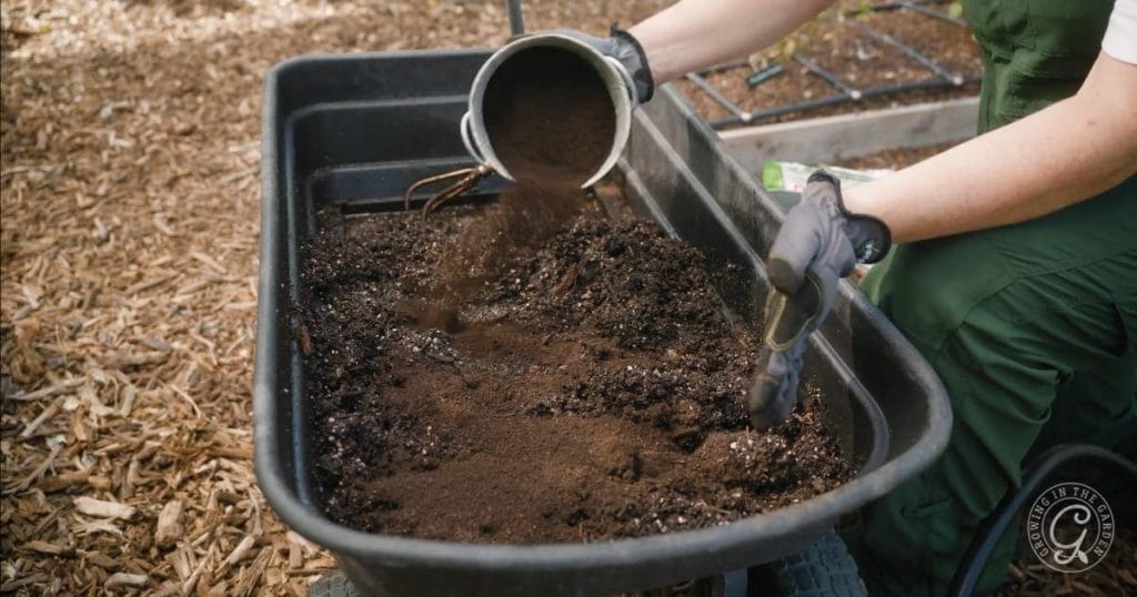 How to Refresh Old Potting Soil