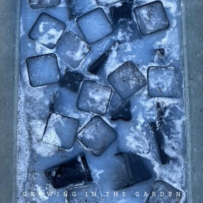 Repeat with remaining seed trays and supplies. 