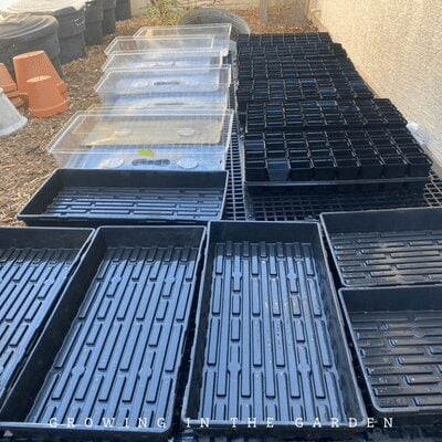 Once the trays are clean, spraying them with a vinegar solution can help remove water spots. 