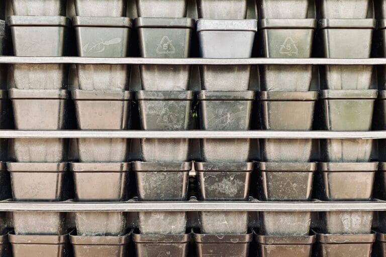 How to Sanitize Seed Starting Supplies featured image