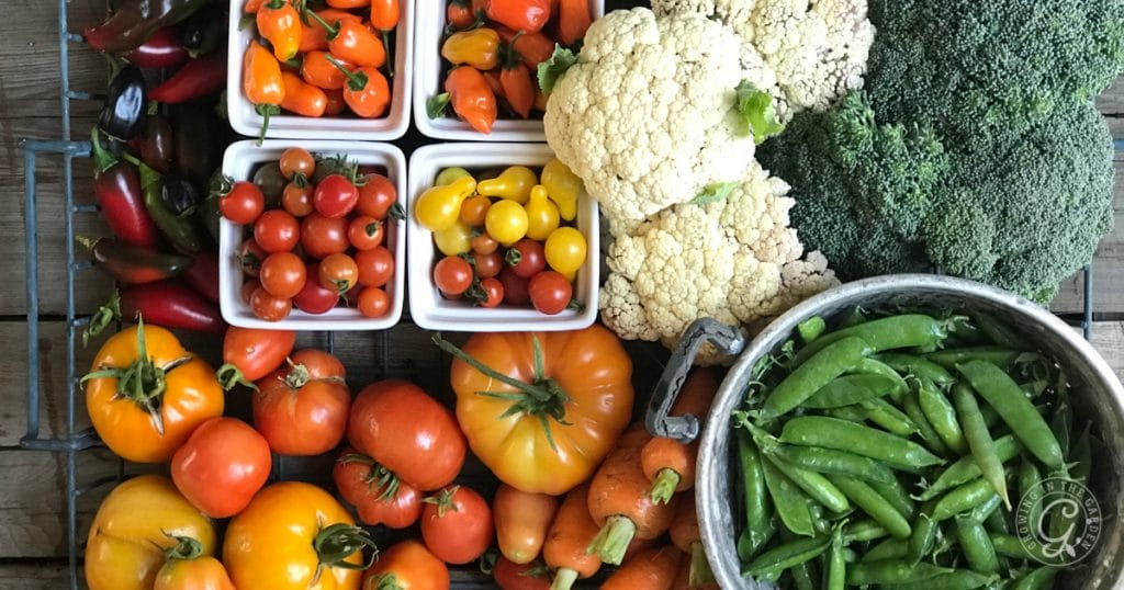 Grow vegetables that produce a lot of food, like tomatoes, zucchini, and beans. You'll get large harvests with less expense. Choose crops you enjoy eating so there is less waste. 