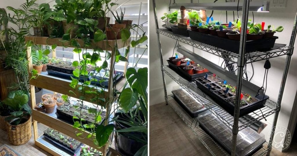 I use a wire shelving unit that I move into my office or laundry room when it’s time to start seeds indoors. It holds my seed-starting supplies in the garage for the rest of the year. 