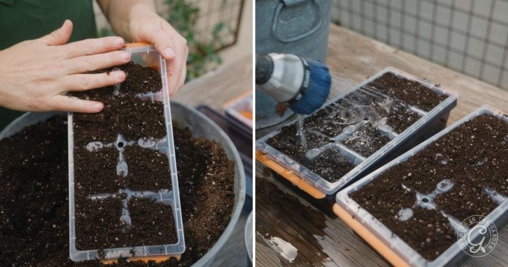 Moisten your seed-starting mix until it’s damp but not soaking wet. Fill your containers, making sure there are no large air pockets. This step ensures that the seeds will have the right environment for germination.
